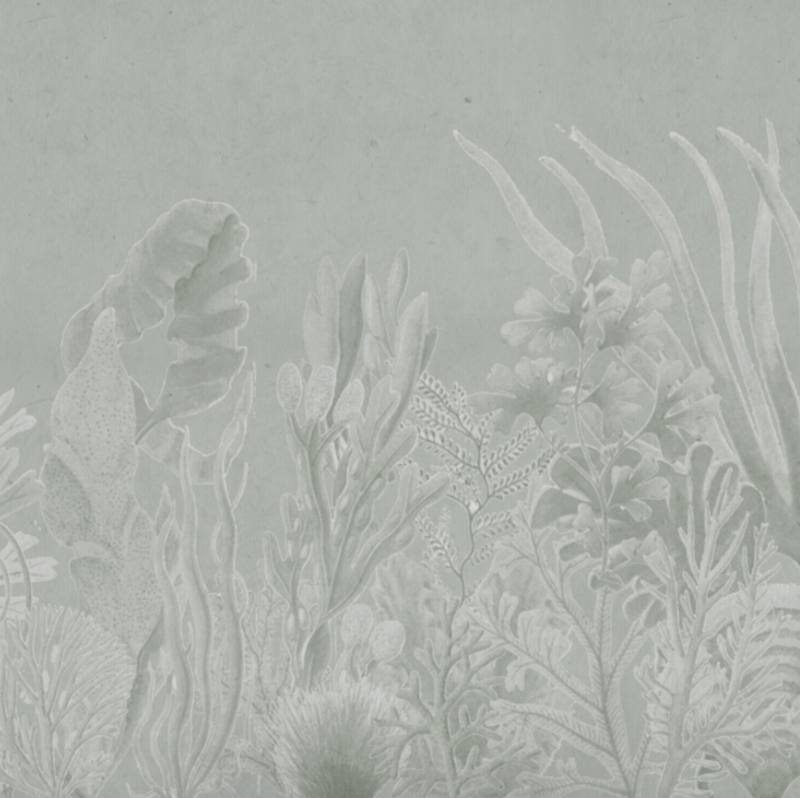 CORAL GREEN €45.00m2