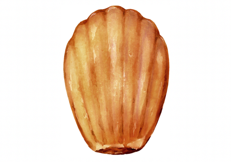 MADELEINE