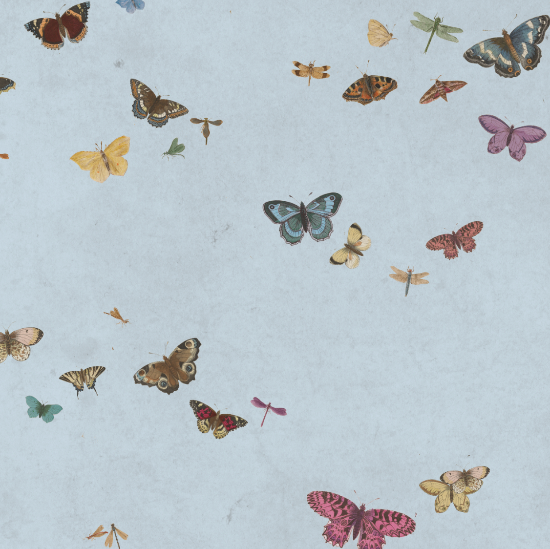 HONEY BUTTERFLY LIGHT BLUE €45m2