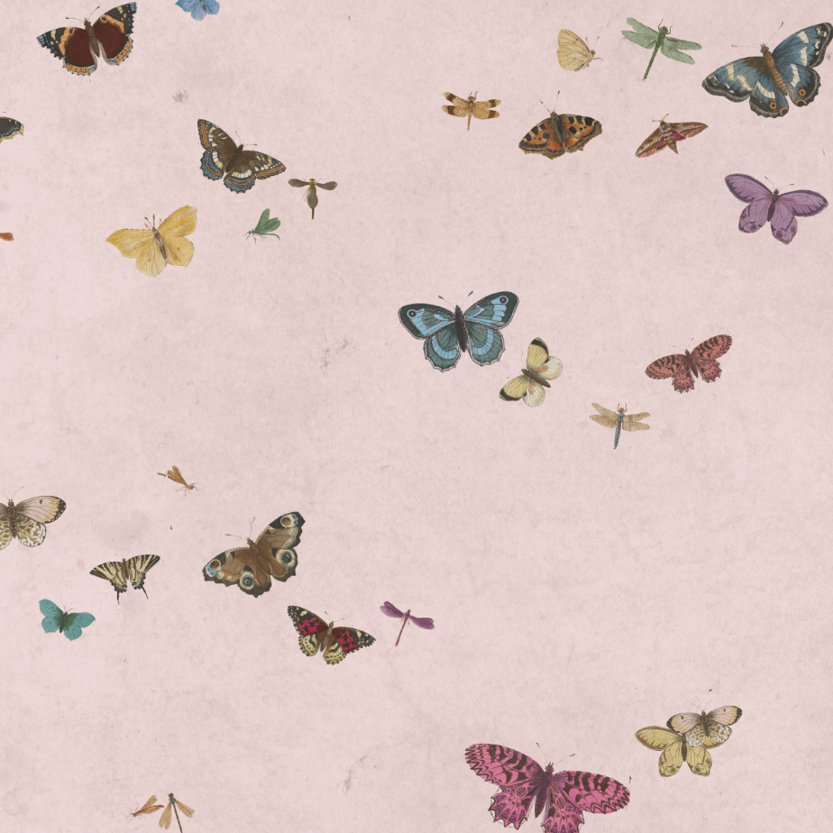 HONEY BUTTERFLY LIGHT PINK €45m2