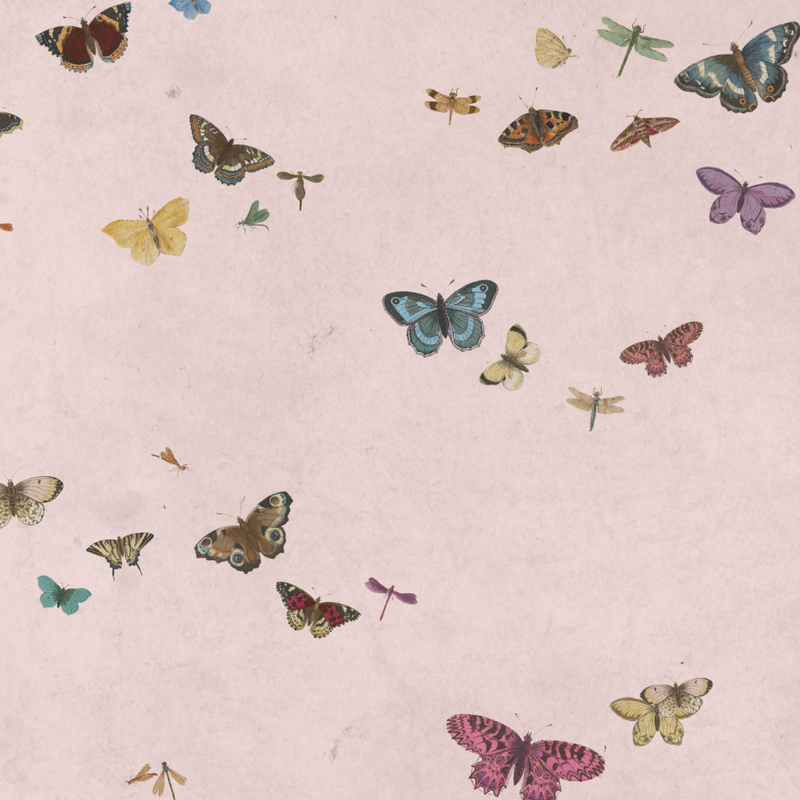 HONEY BUTTERFLY LIGHT PINK €45m2