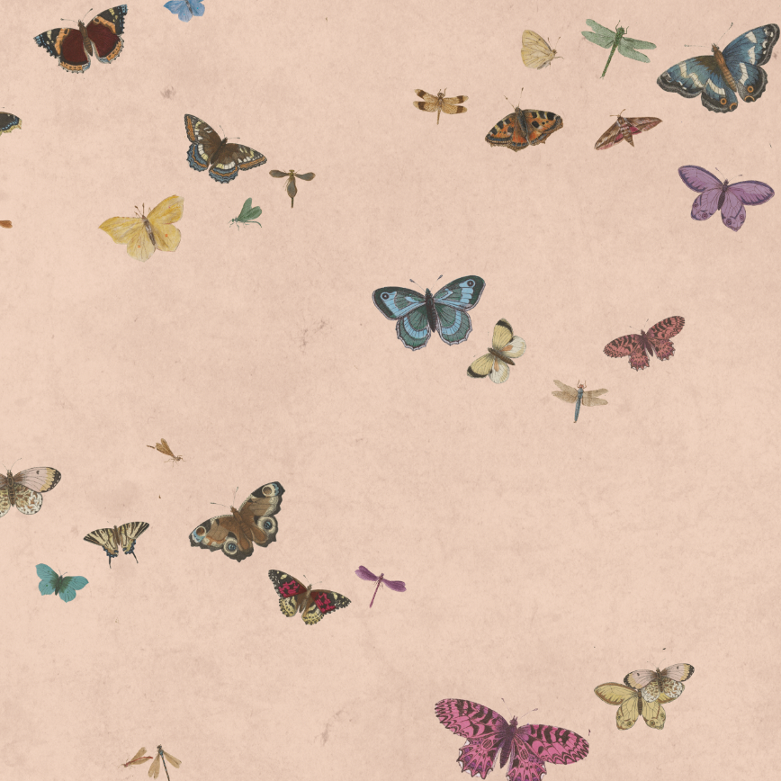 HONEY BUTTERFLY LIGHT PEACH €45m2