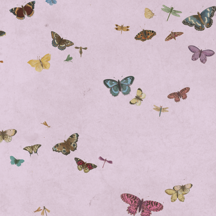 HONEY BUTTERFLY LIGHT PURPE €45m2