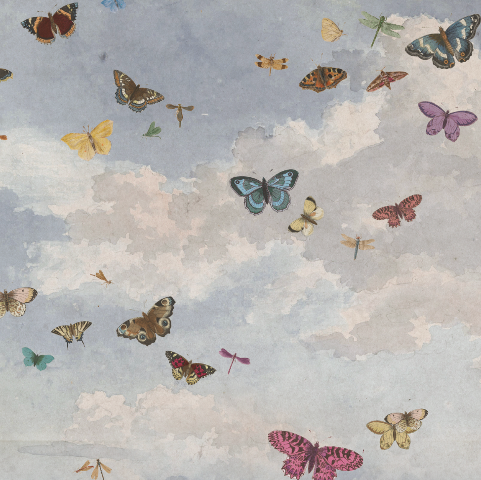 HONEY BUTTERFLY LIGHT BLUE CLOUDS €45m2
