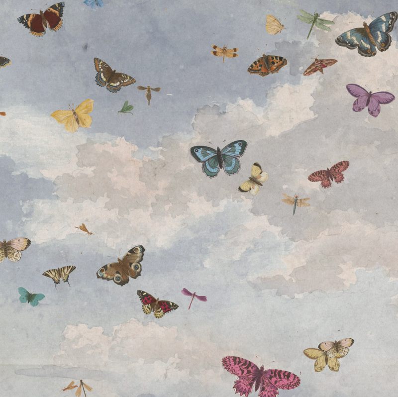 HONEY BUTTERFLY LIGHT BLUE CLOUDS €45m2