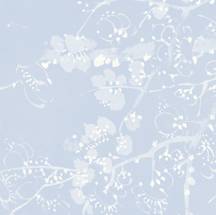 BLOSSOM LIGHT BLUE €45m2