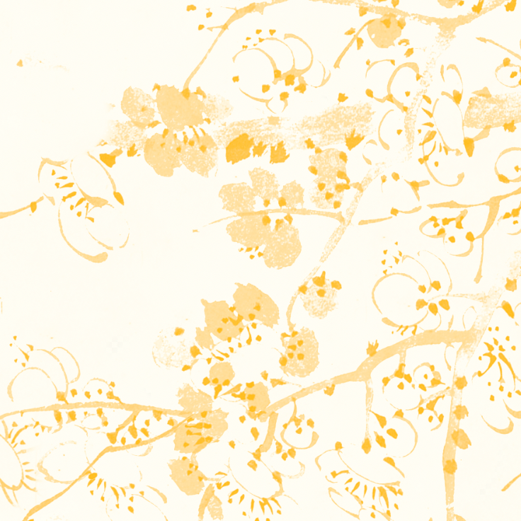 BLOSSOM YELLOW €45m2