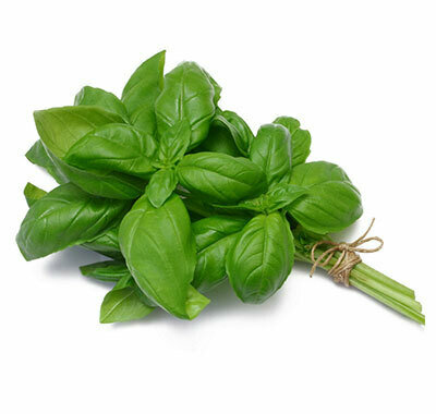 Basil Fused Olive Oil