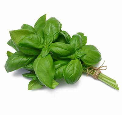Basil Fused Olive Oil