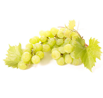 Condimento Bianco White Balsamic