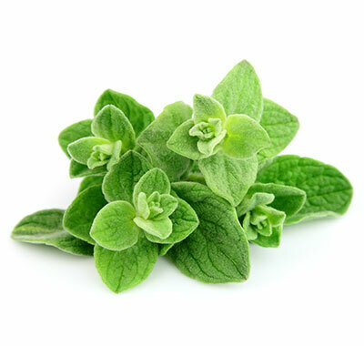 Oregano White Balsamic