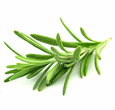 Rosemary Fused Olive Oil