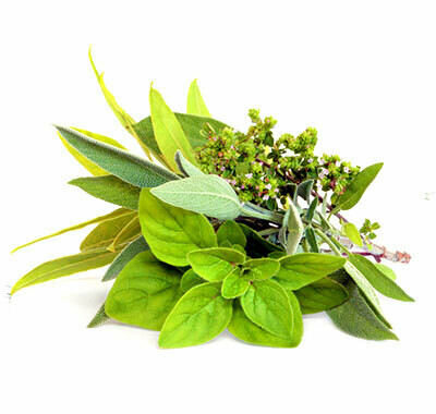 Herbs de Provence Infused Olive Oil