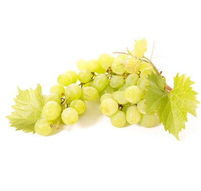 Condimento Bianco White Balsamic