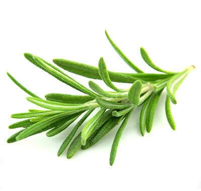 Rosemary Fused Olive Oil