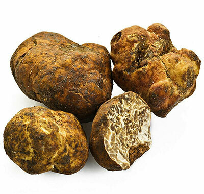 White Truffle of Alba Gourmet Oils
