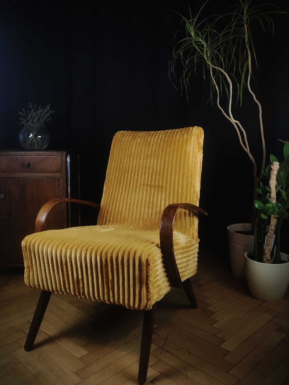 Fauteuil Thonet mid century 60&#39;s par Smidek.