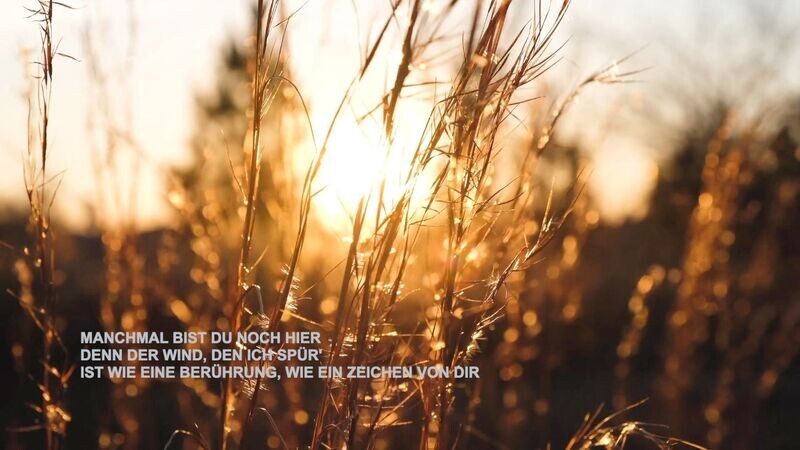 Manchmal bist du noch hier - Corina Fuhrmann -Cover