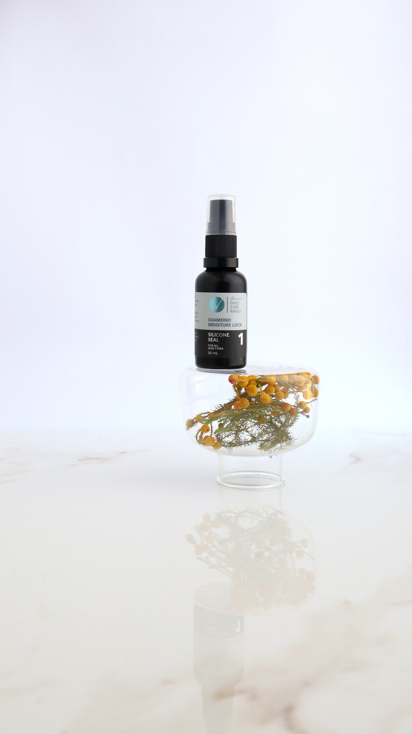 DIAMOND MOISTURE LOCK SILICONE SEAL NO. 1