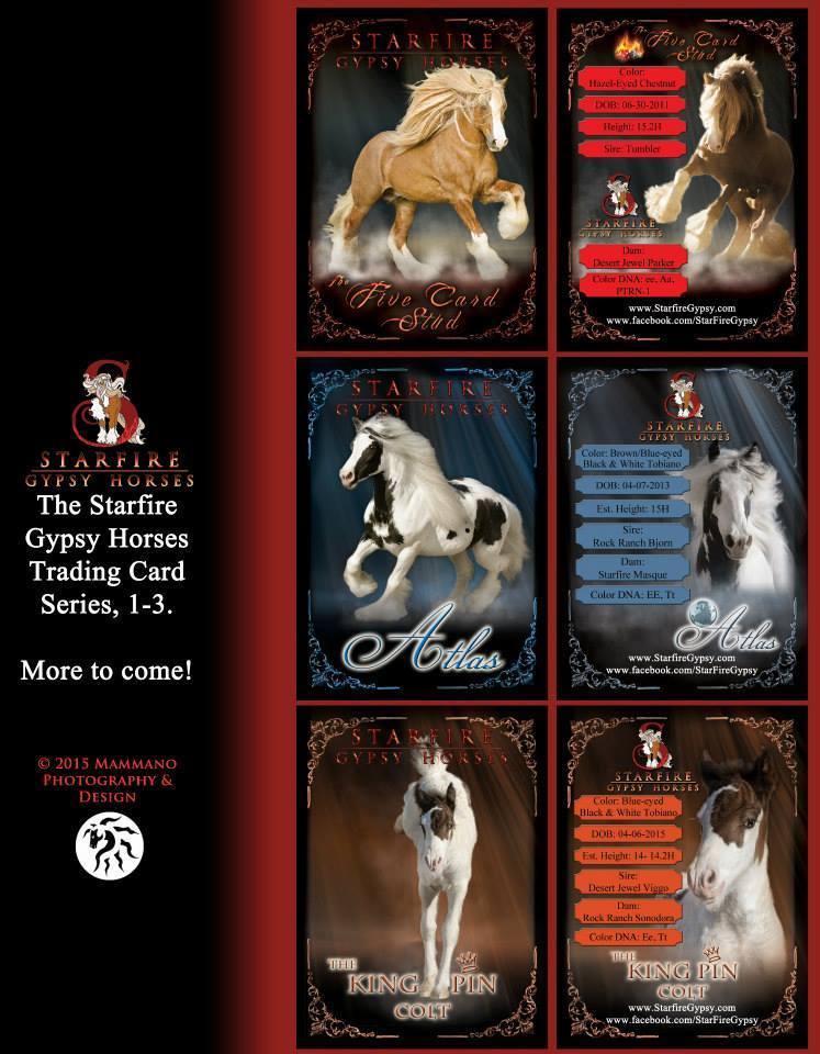 Gypsy Trading Card Set 1