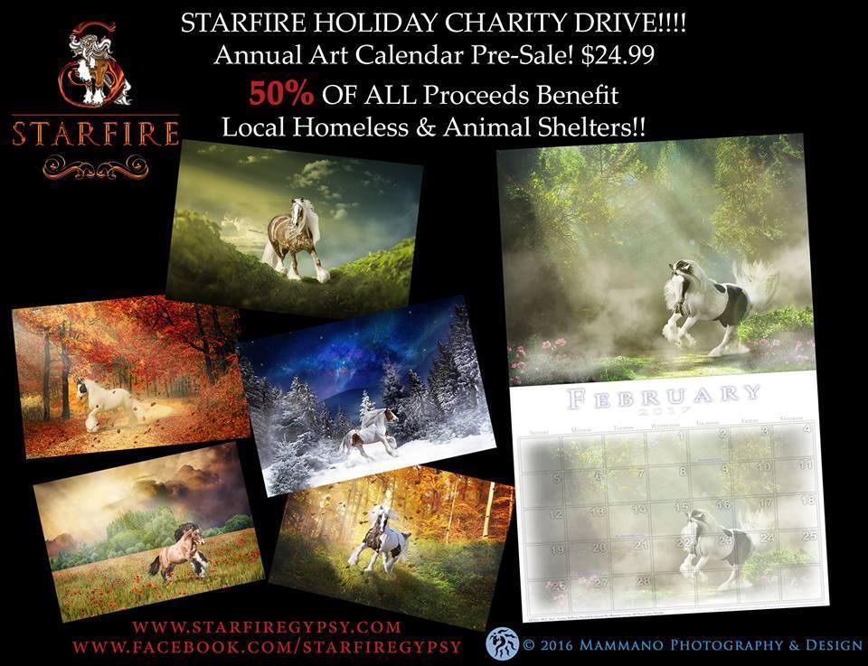 2017 Gypsy Horse Calendar ***Pre Order***