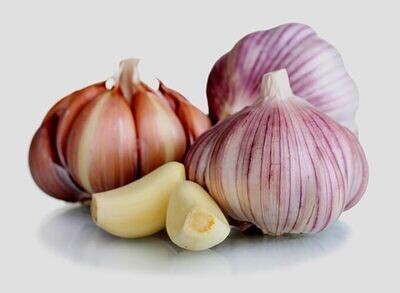 Gourmet Garlic