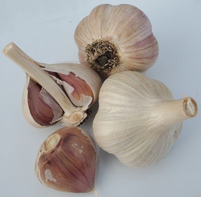 1/4 lb. German Hardy - Culinary