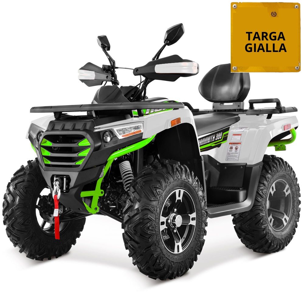 MAMMOTH 300 R12 - TARGABILE OMOLOGAZIONE T3B
