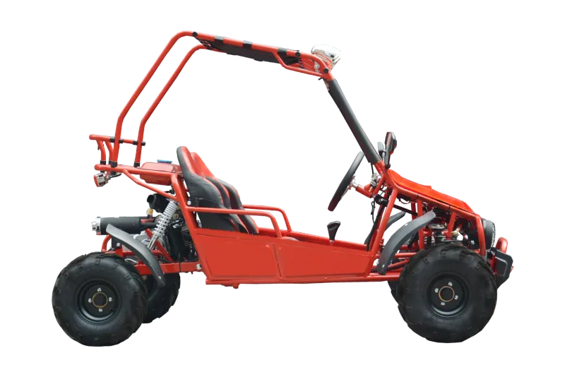 CVM BUGGY