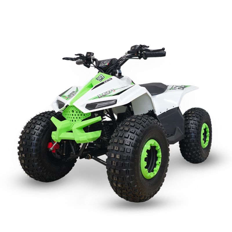 LEM MINI QUAD GRIZZLY ELETTRICO