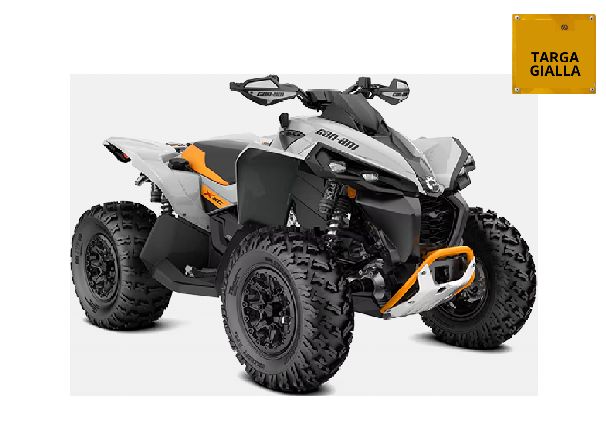 QUAD CAN-AM RENEGADE X XC1000R T