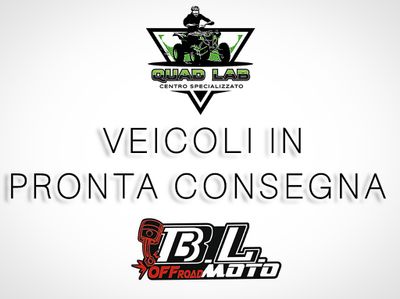 VEICOLI IN PRONTA CONSEGNA