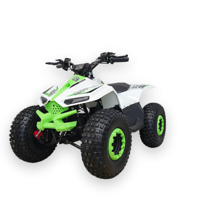 QUAD LEM GRIZZLY ELETTRICO