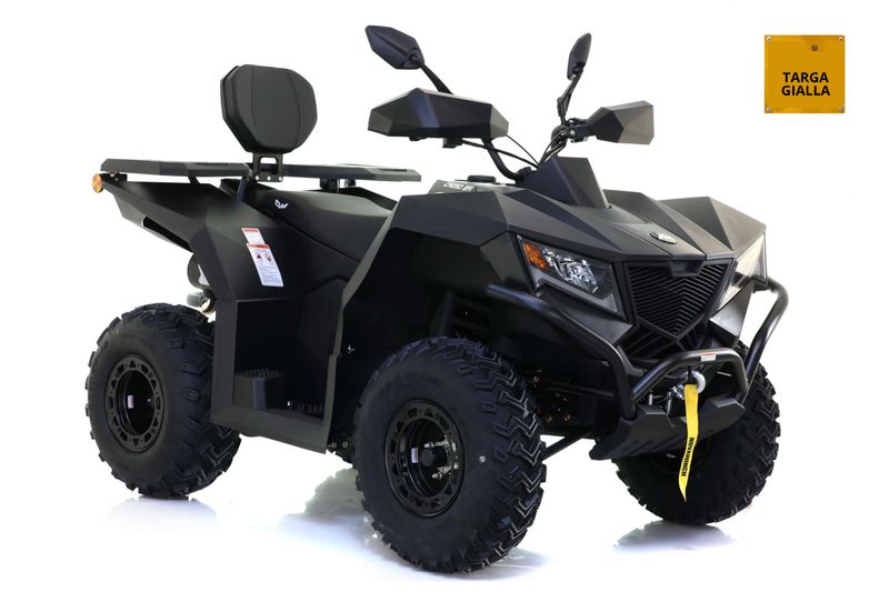 QUAD CYBERROAMER 250 - 2X4 - T3B QUAD CYBERROAMER 250 - 2X4 - T3B