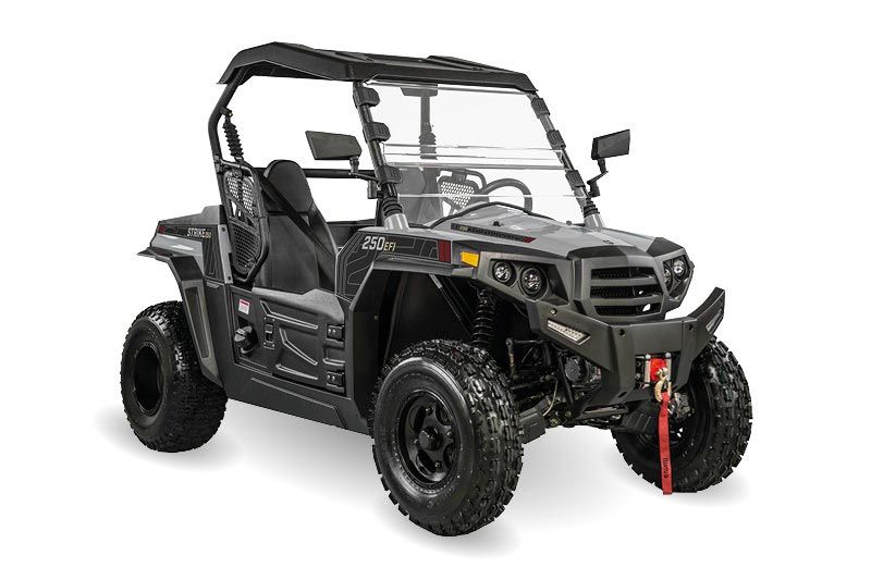 QUAD UTV HISUN STRIKE 250 - T3b