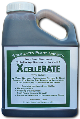 XCELLERATE - 1 gallon