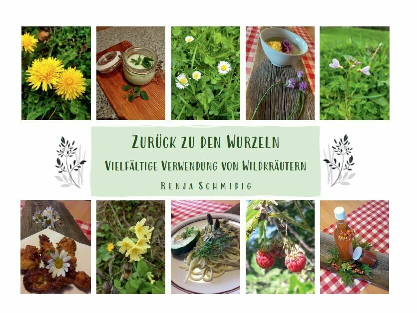 Buch 
&quot;Zurück zu den Wurzeln - Vielfältige Verwendung von Wildkräutern&quot; von Renja Schmidig