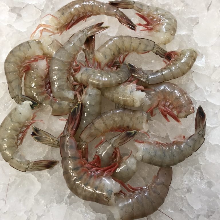 Large Headless Shrimp (Certified Louisiana) Shrimp Store LA Seafood