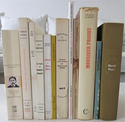 ENTHOVEN + CATTAUI + BAUDRY + MOUTON + TADIE + ROBIN + GUICHARD + ALBARET+ PAINTER + etc. Lot de 12 livres sur Marcel Proust : Dictionnaire Amoureux + Proust et ses Métamorphoses + etc...