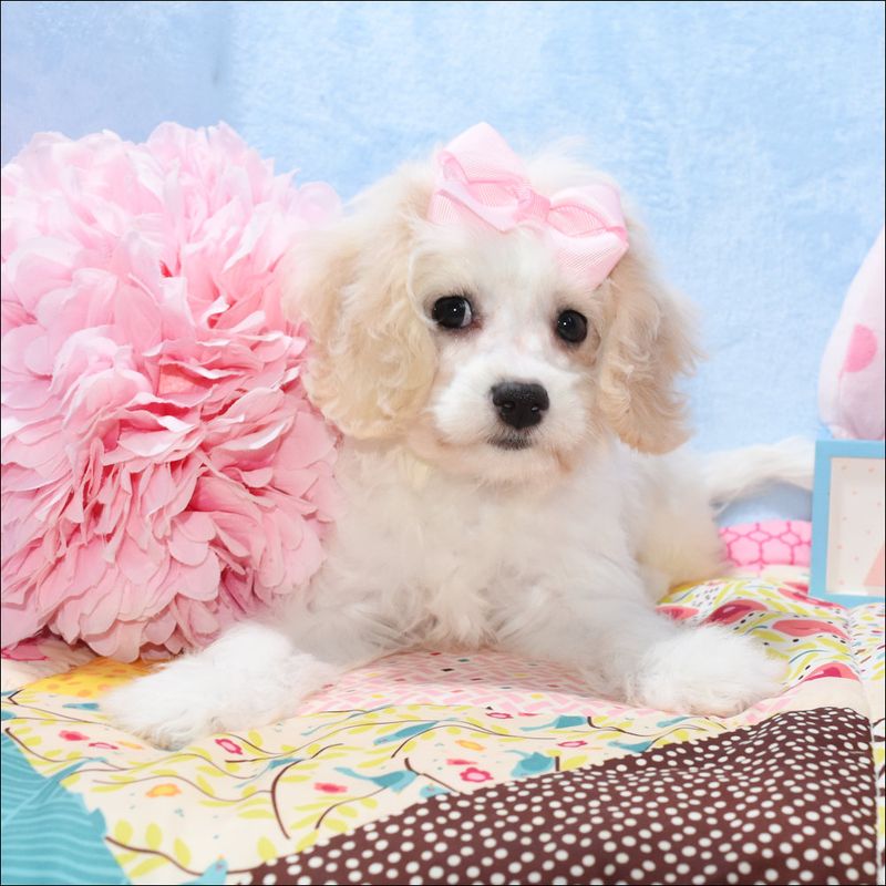 Milly