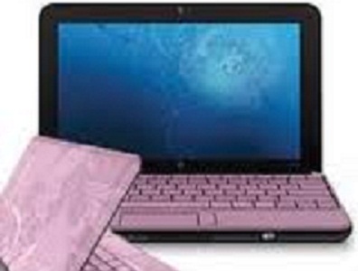 HP Mini 210-2141LA (ROSADO)