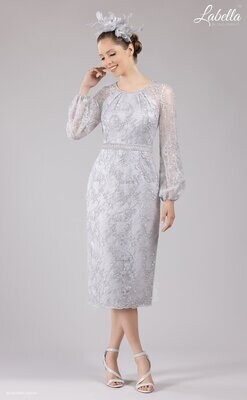 Silver Occasion Dress