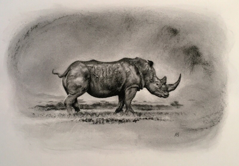 Southern White Rhinoceros Southern White Rhinoceros