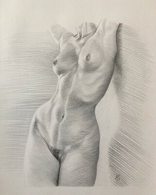 NUDES/TORSOS