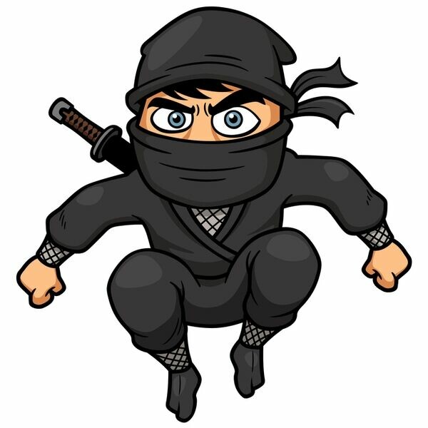 tech ninjas