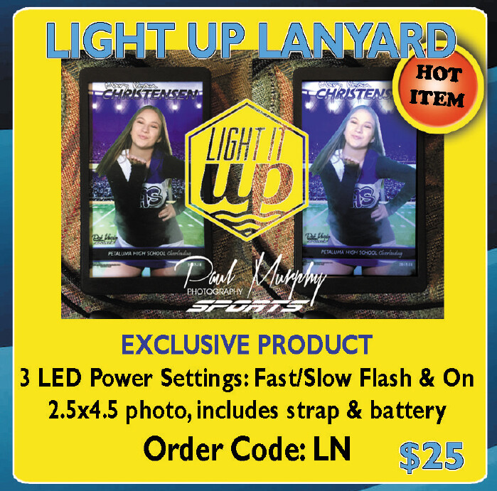 Ala Carte Light Up Lanyard   (LN)
