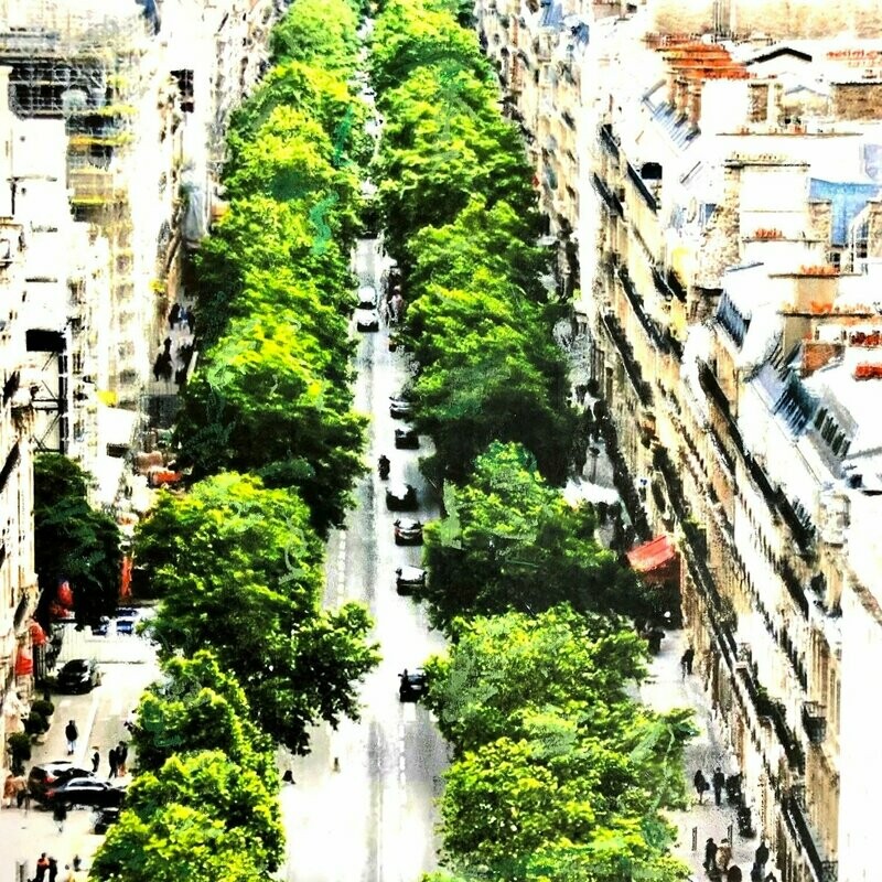 Paris, rue Tronchet