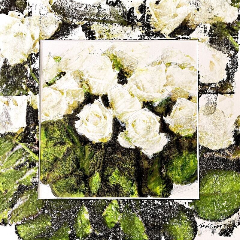 Roses blanches