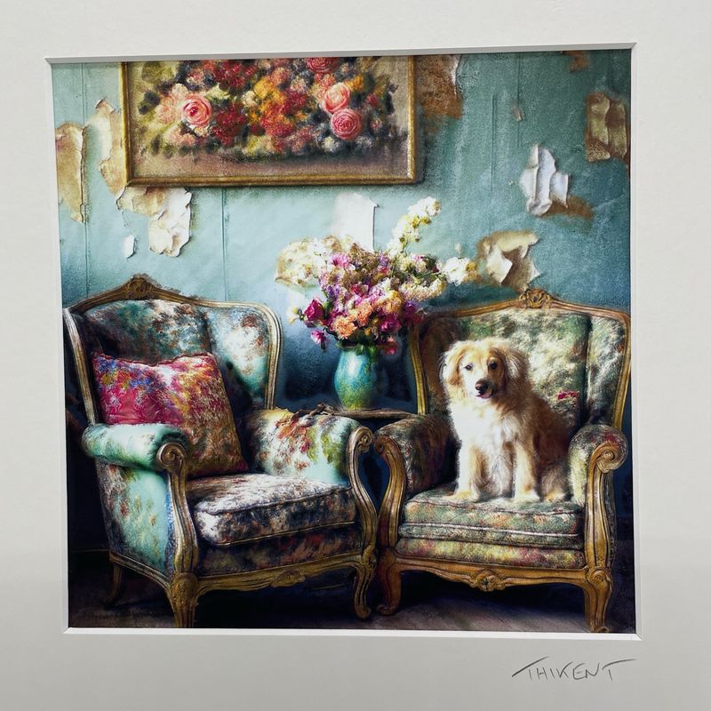 Chien sur fauteuil