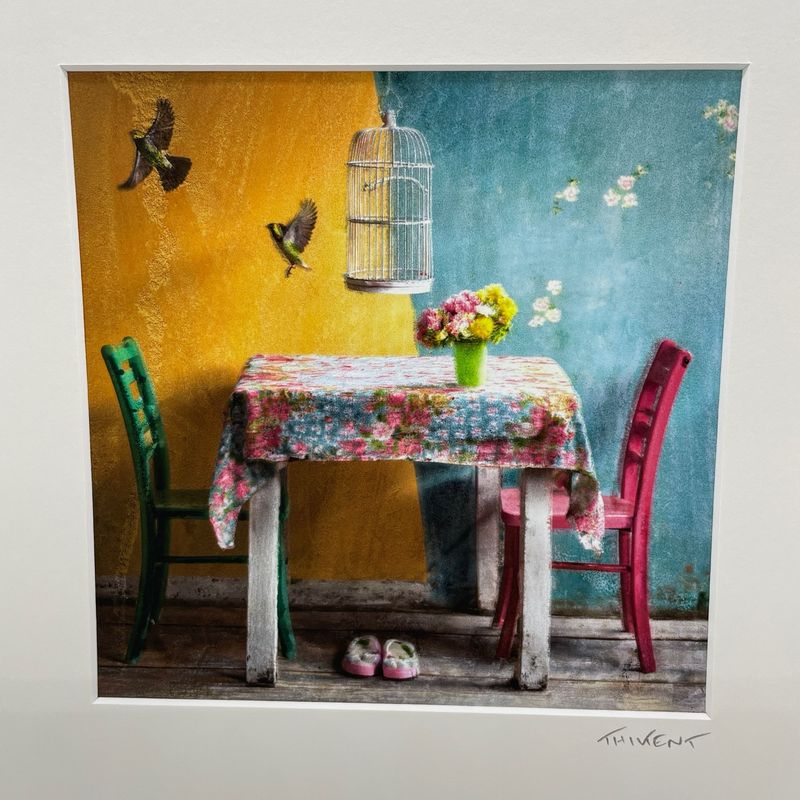 Oiseaux